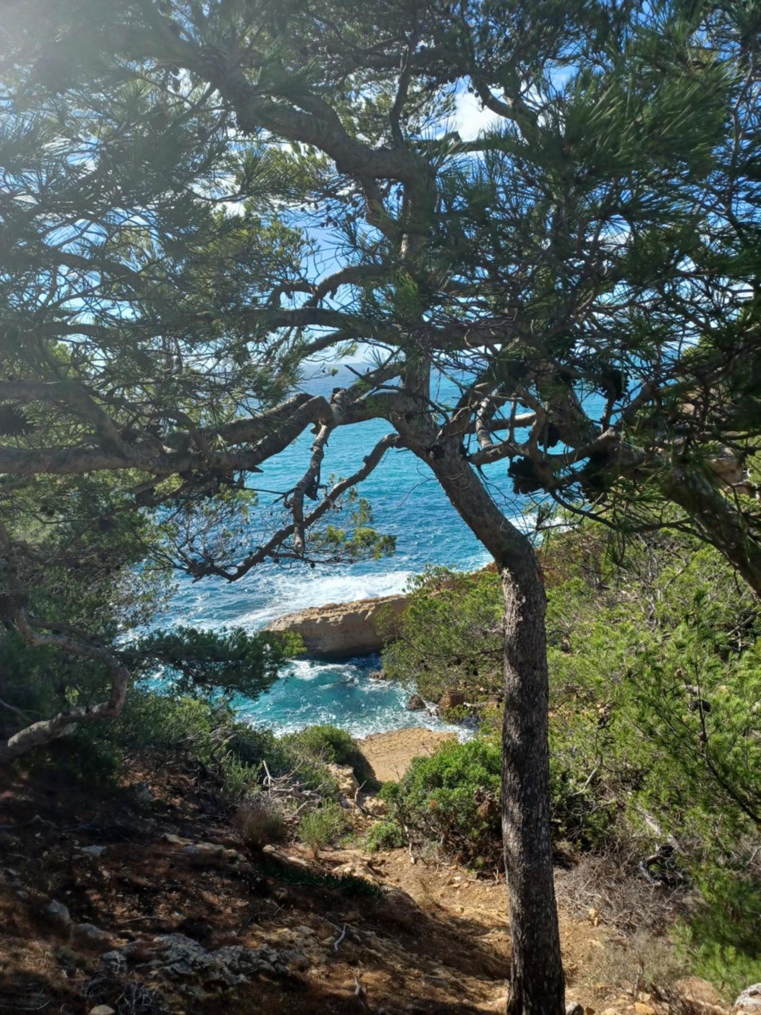 Villa Calanques Ensues-la-Redonne Quarto foto